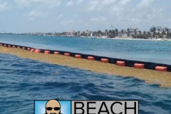 beach-bouncer