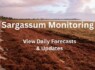 SargassumMonitoring.com